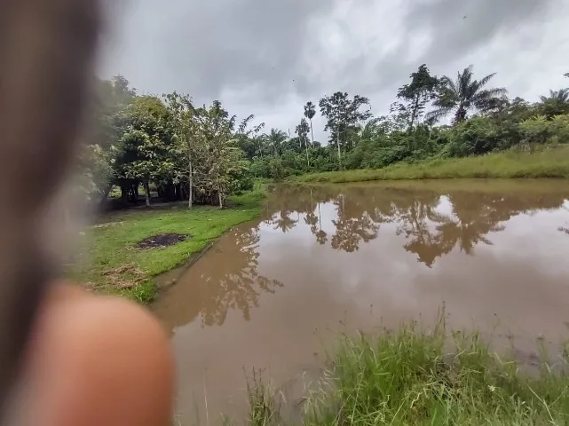Vende se fazenda