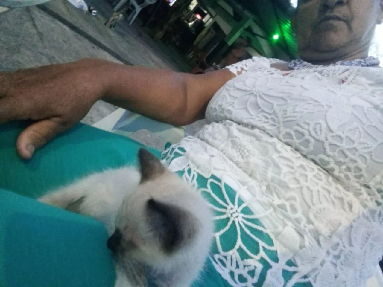 Macho filhote 2 meses - Foto 4