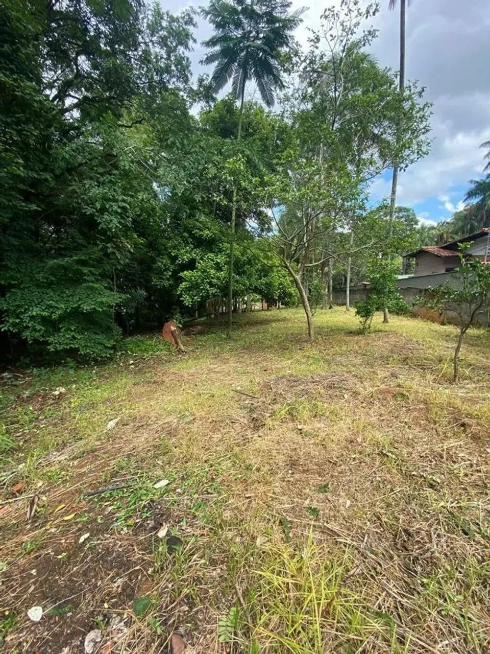 Lote em Avenida Otacílio Negrão de Lima - Garças - Belo Horizonte/MG - Foto 5