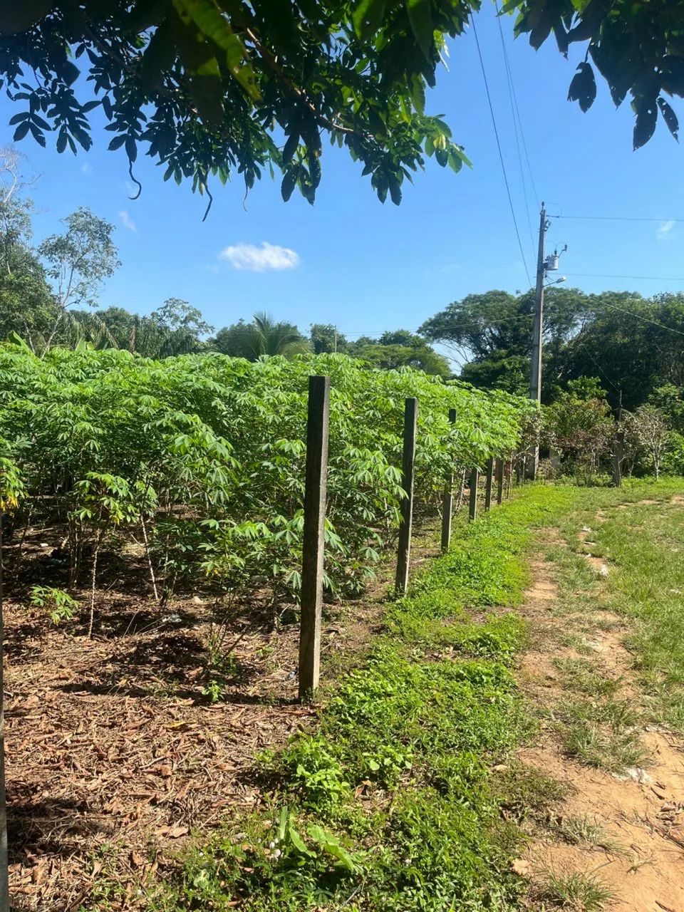 VENDE-SE. TERRENO. R$ 20.000, IRANDUBA