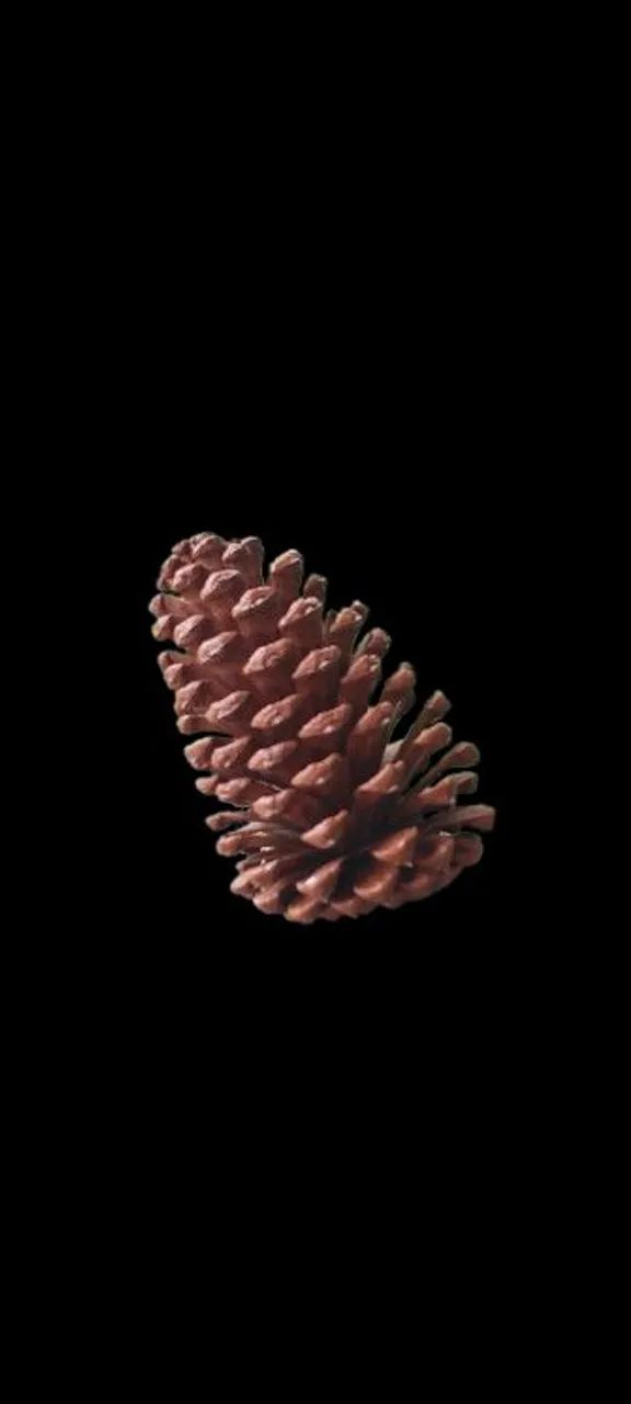 Pinha várias unidades 