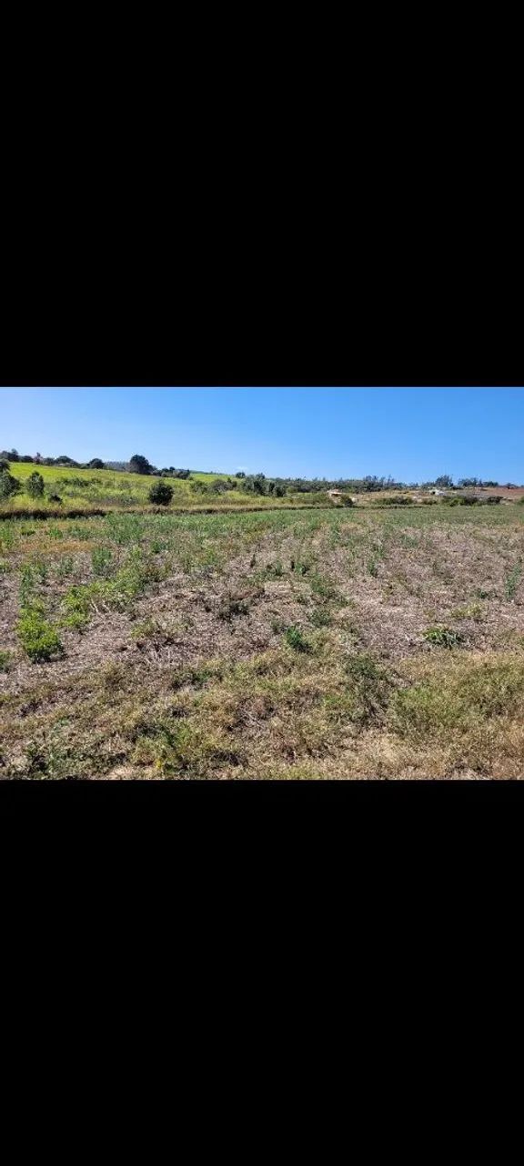 Sítio de 1 alqueire próximo ao Bairro fundão  - Foto 5