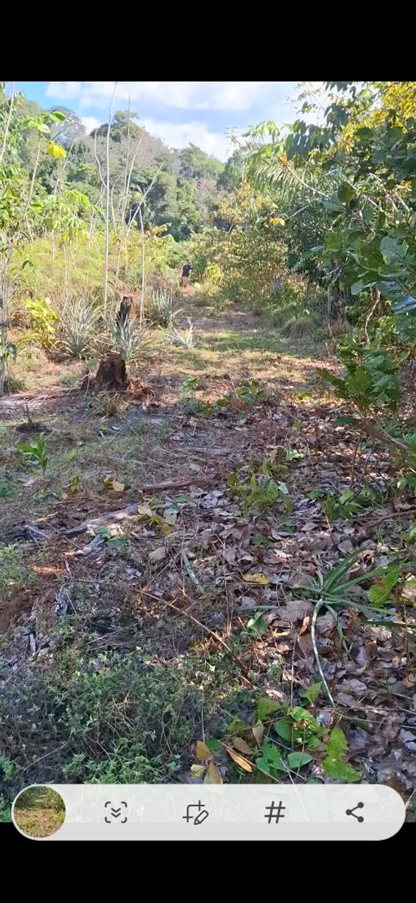 Vendo um terreno na estrada de manacapuru.