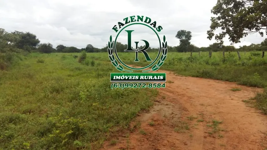 Fazenda 292 Alqueires Dupla Aptidão
