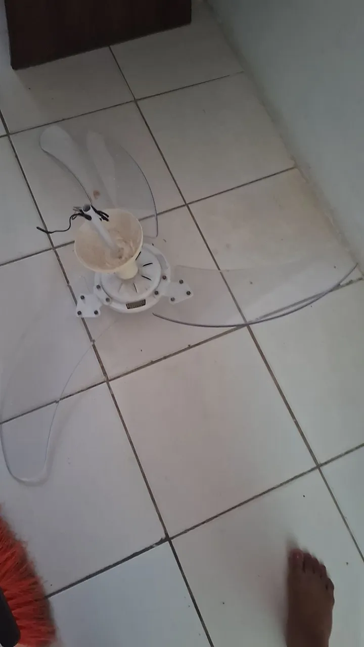 Ventilador de teto