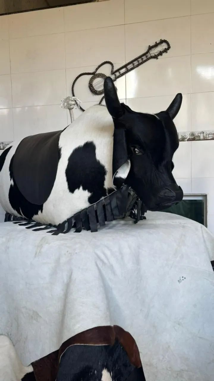 Touro Mecanico Profissional