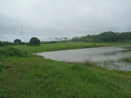 Granja com 11 hectares na região de Monte Alegre estruturada - Foto 4