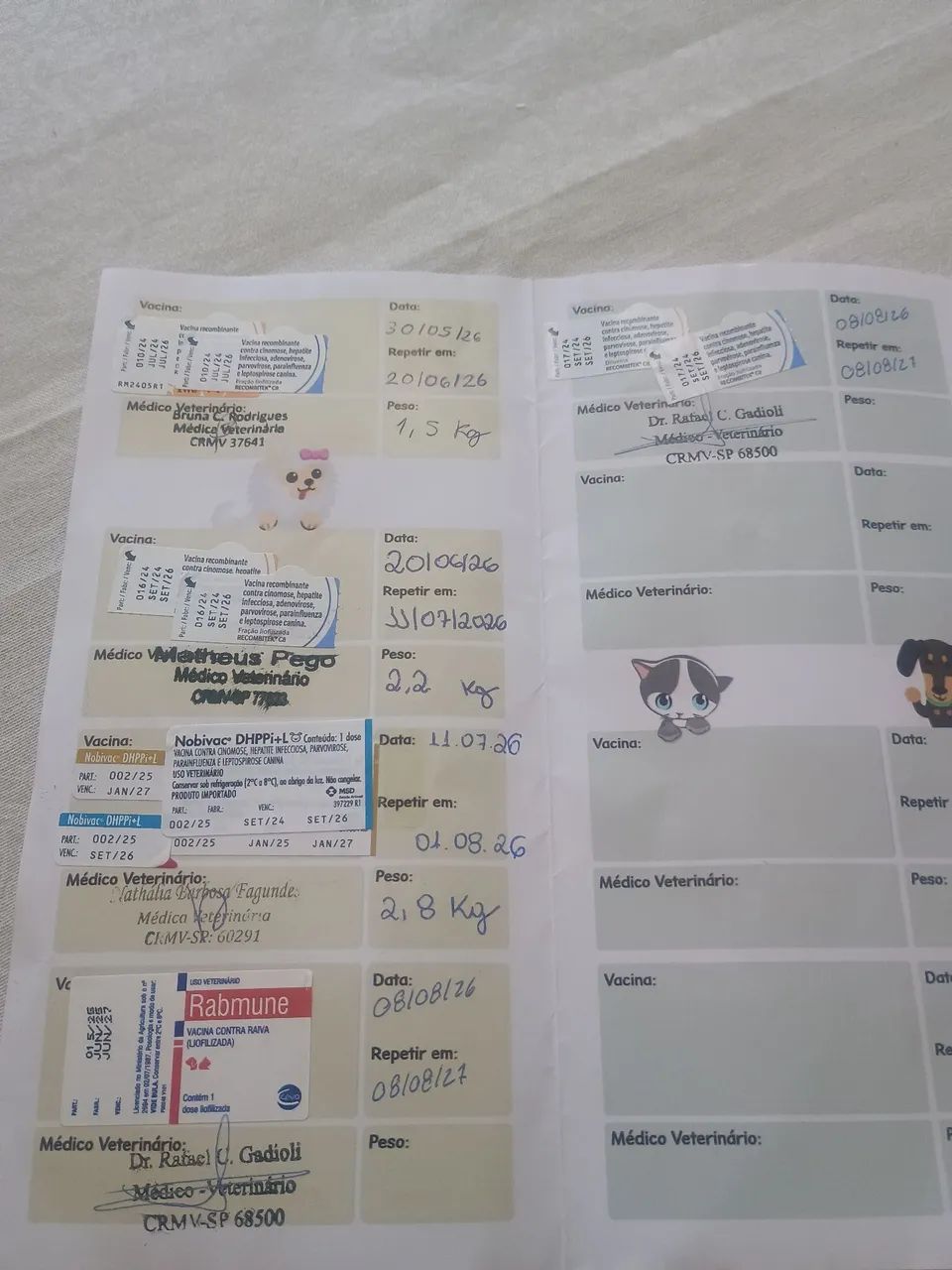 Cachorro  - Foto 5
