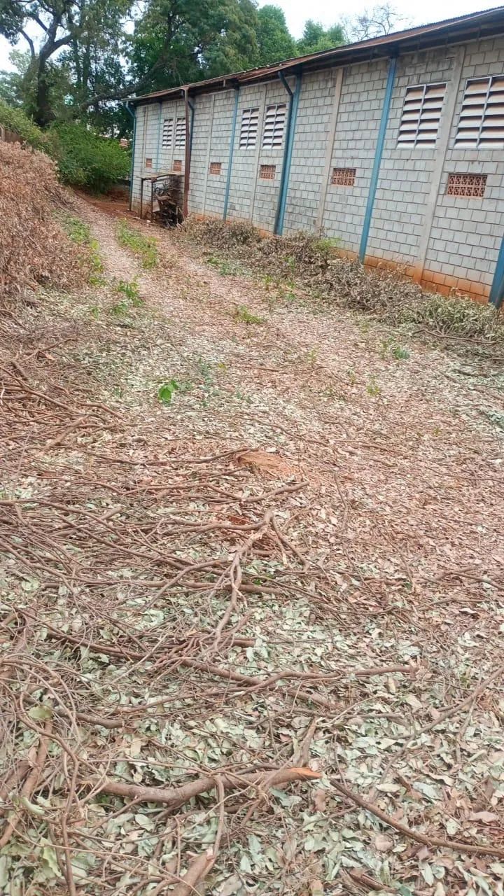 Galpão - 1500m² - Distrito Industrial - São Simão - Foto 4