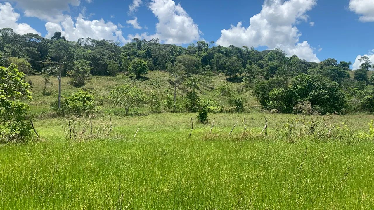 Fazenda em Catu-Ba - Foto 4