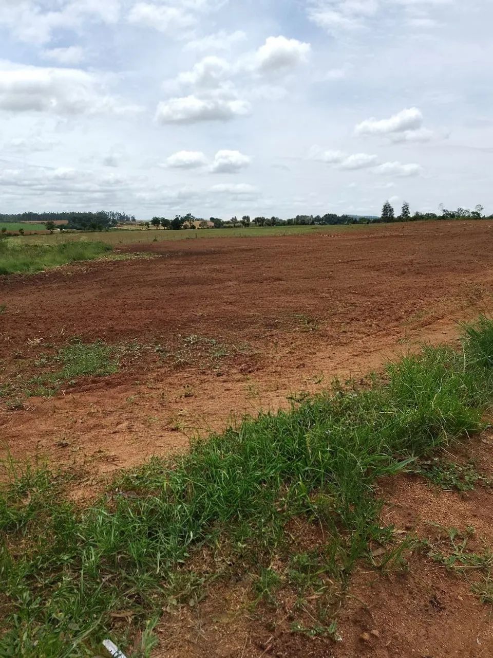 Campo com 14 hectares  - Foto 4