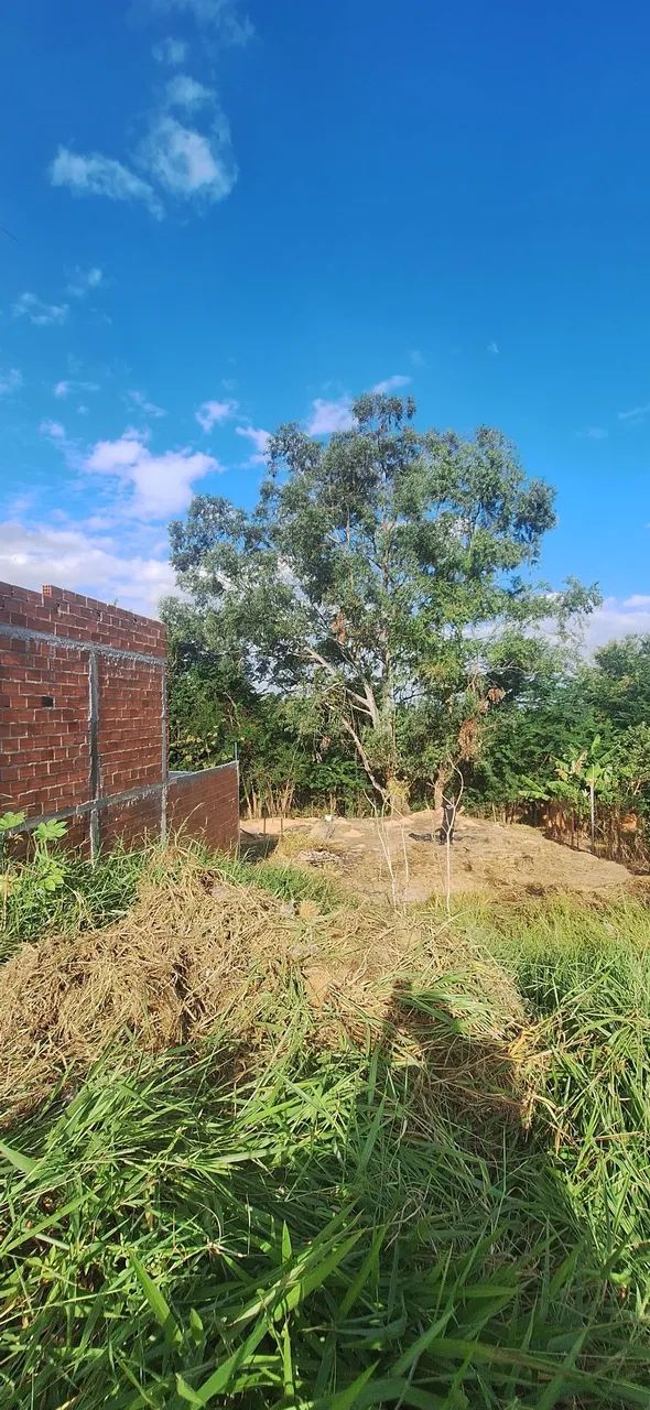 Terreno 300m²  - Foto 3