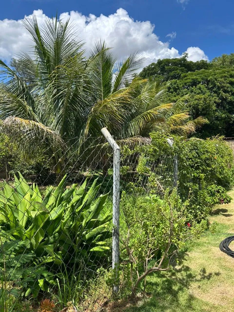 Vendo Chácara completa com casa, piscina, pomar, área de lazer completa - Foto 4