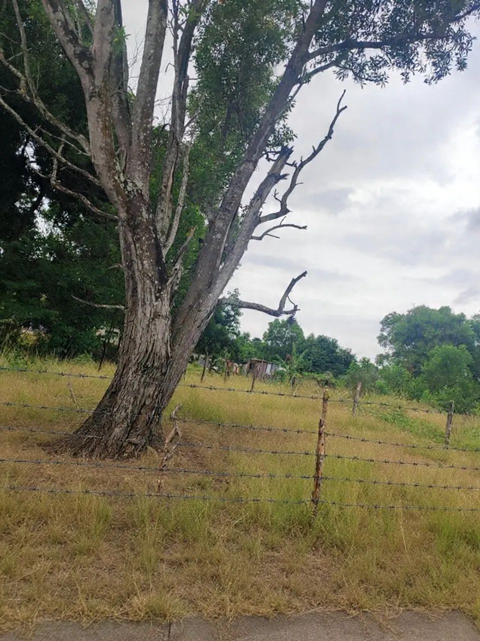 Foto - Itaguaí - Chaperó