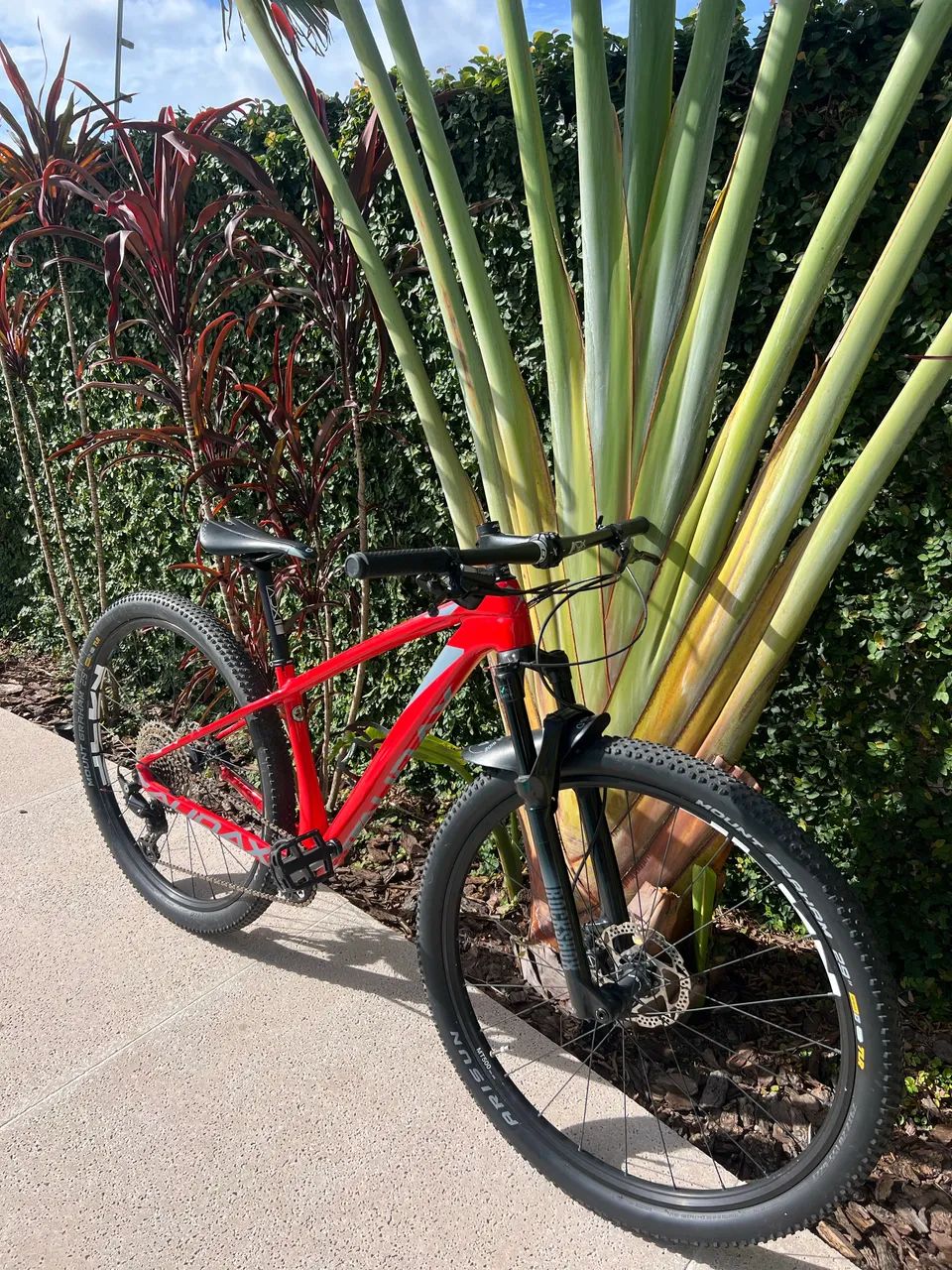 Bicicleta Audax Auge 555 Deore Carbon - Ciclismo - Rio Tavares