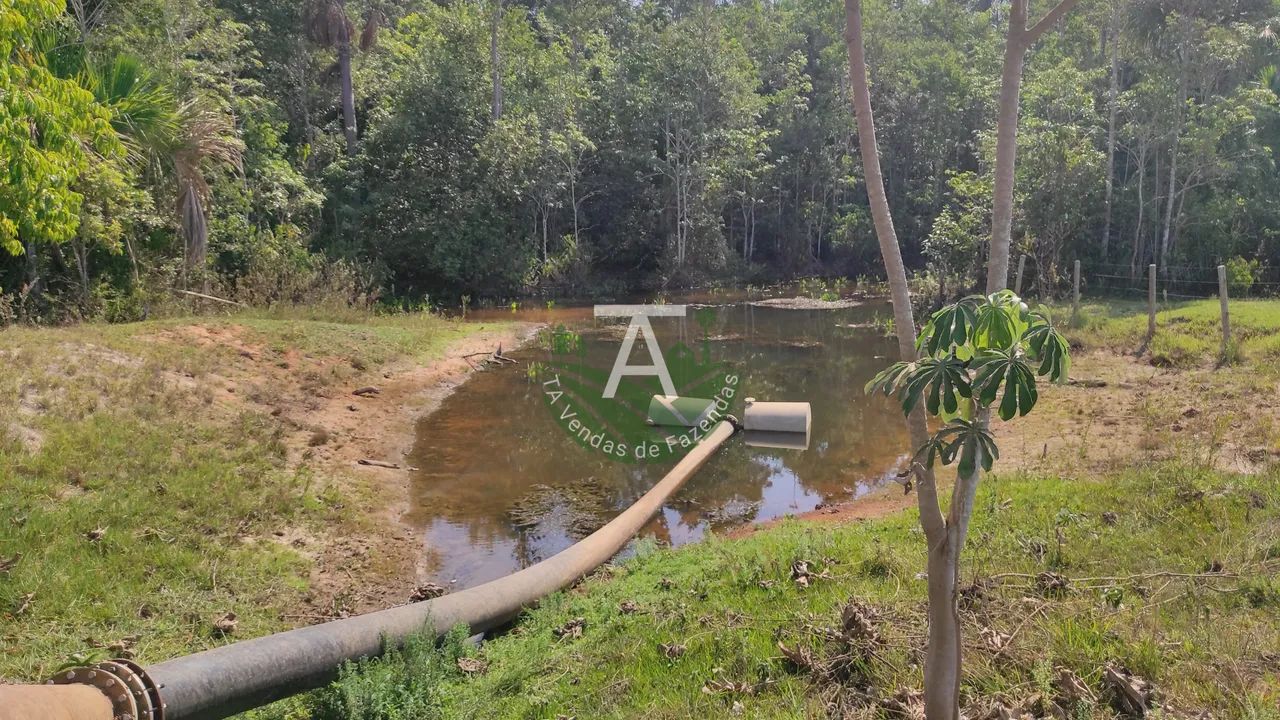 Fazenda em Jussara GO - Foto 5