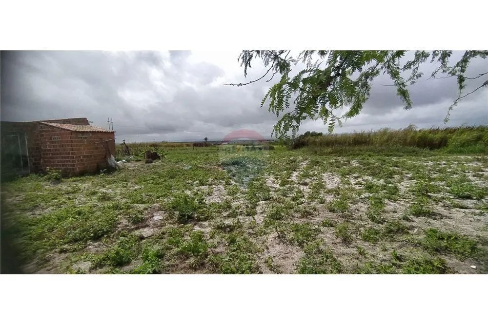 sítio em boa localização - Foto 4