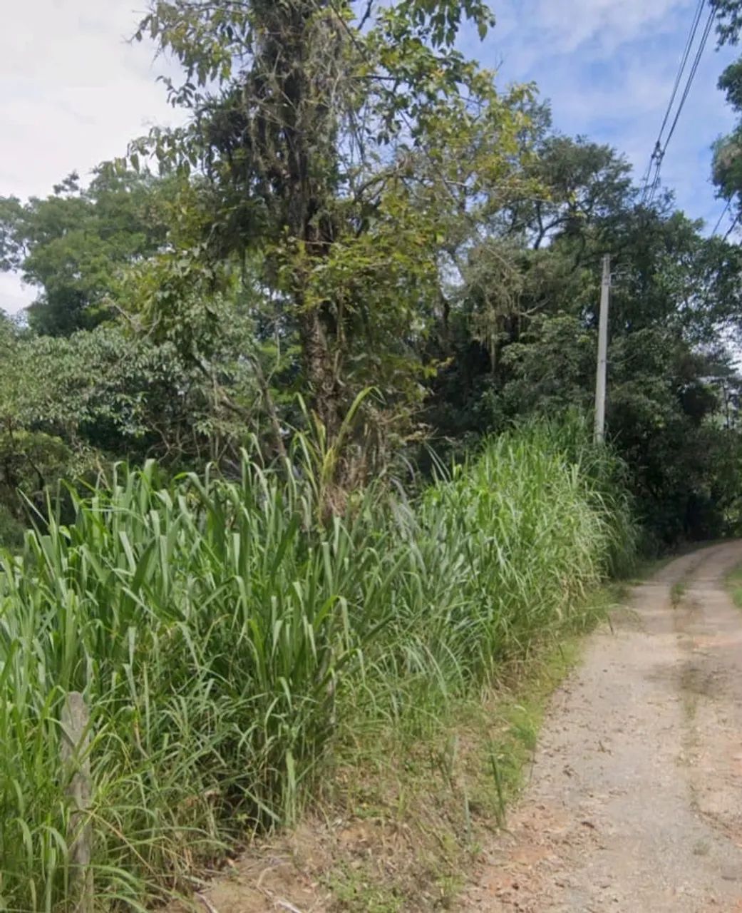Sítio em Sabauna  - Foto 3