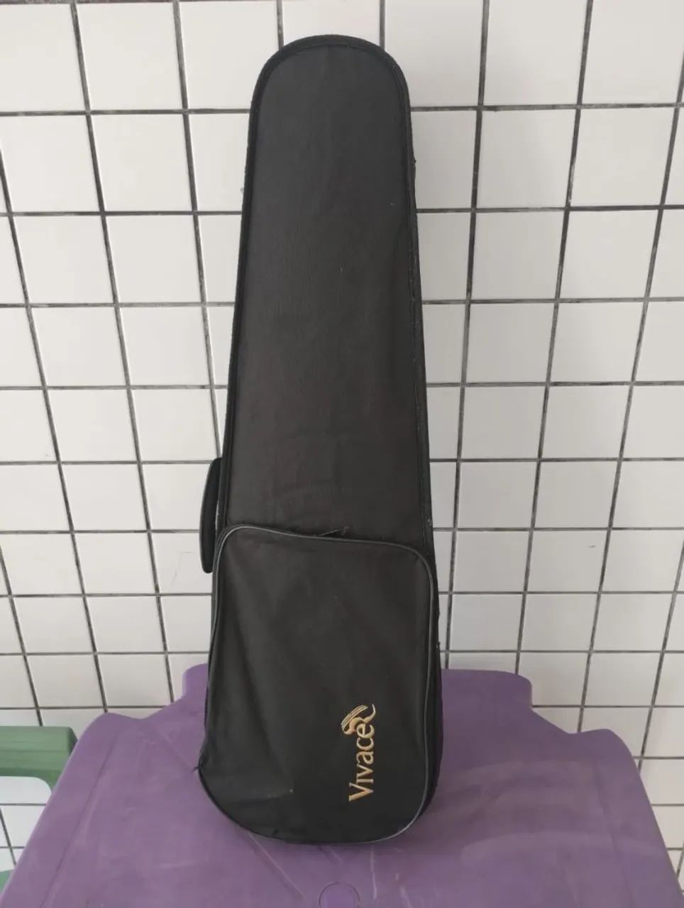 Violino e pandeiro  - Foto 4