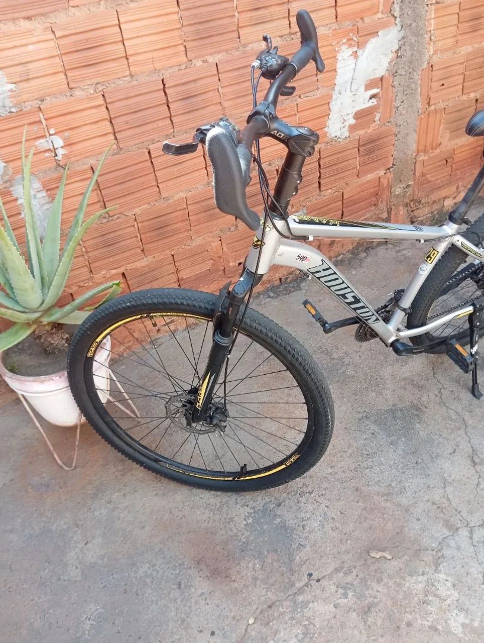 Biscicleta  - Foto 3