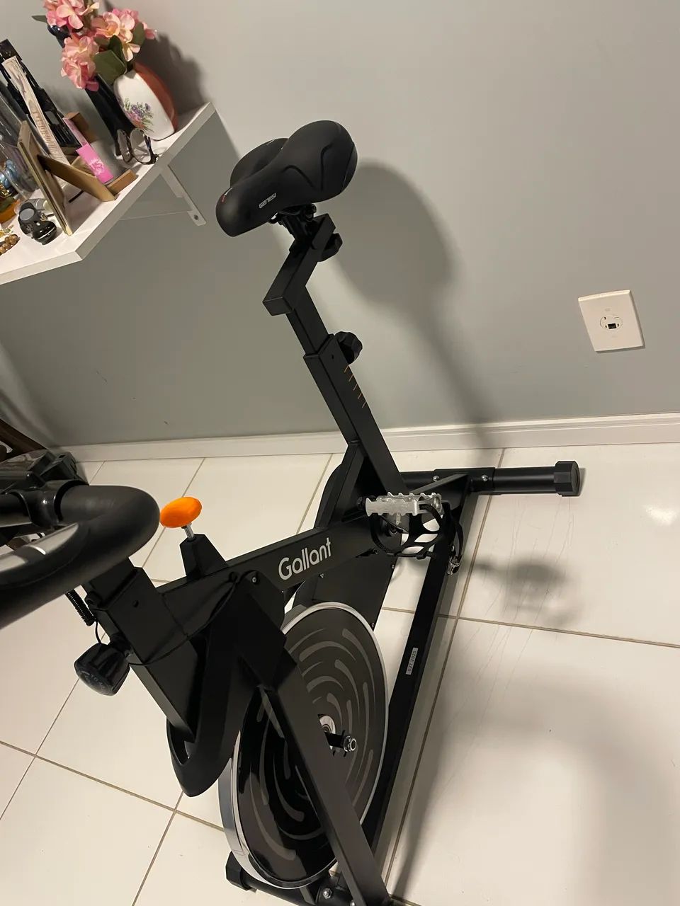 Bicicleta ergométrica