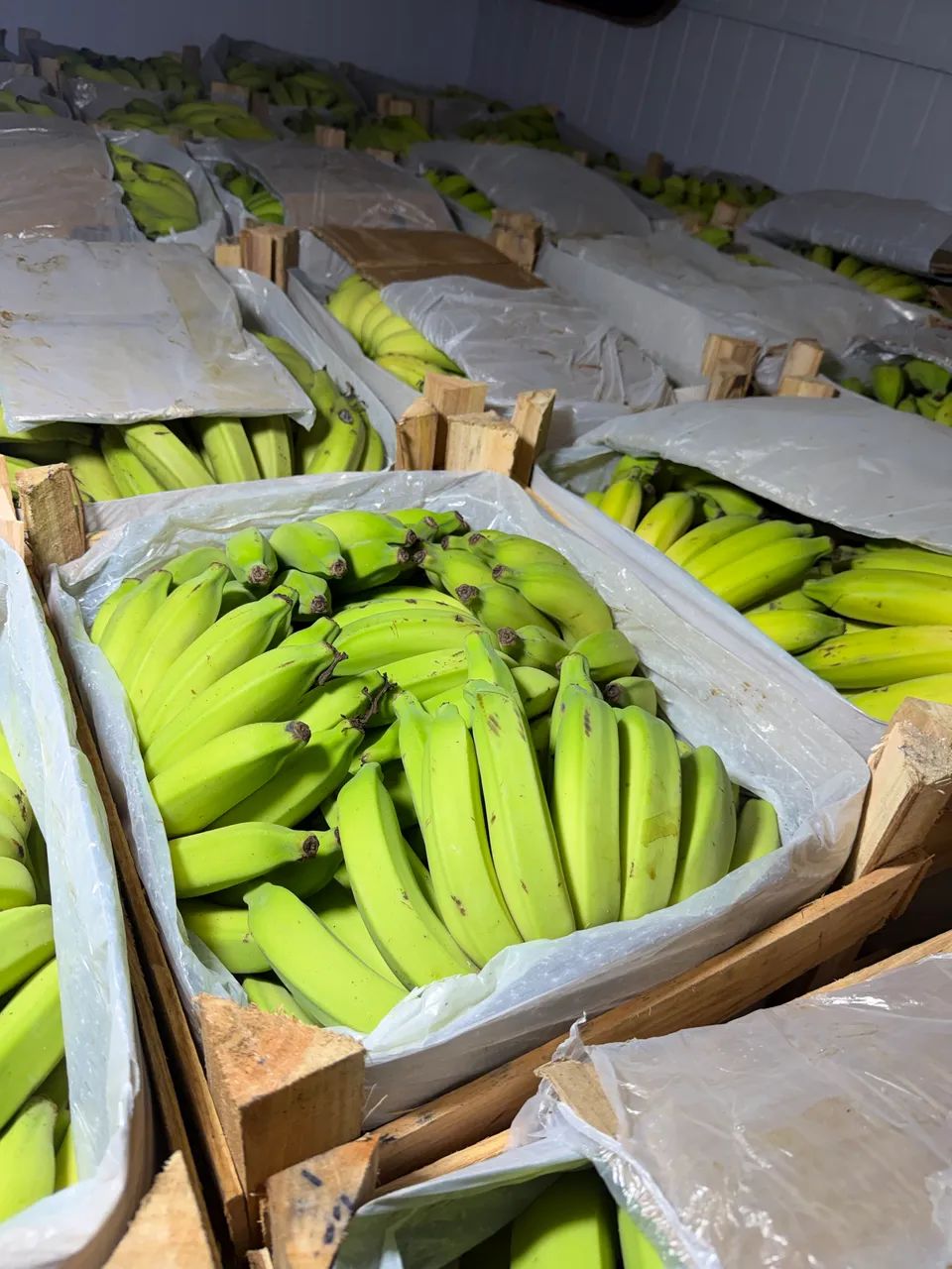 BANANAS EM GERAL  - Foto 3