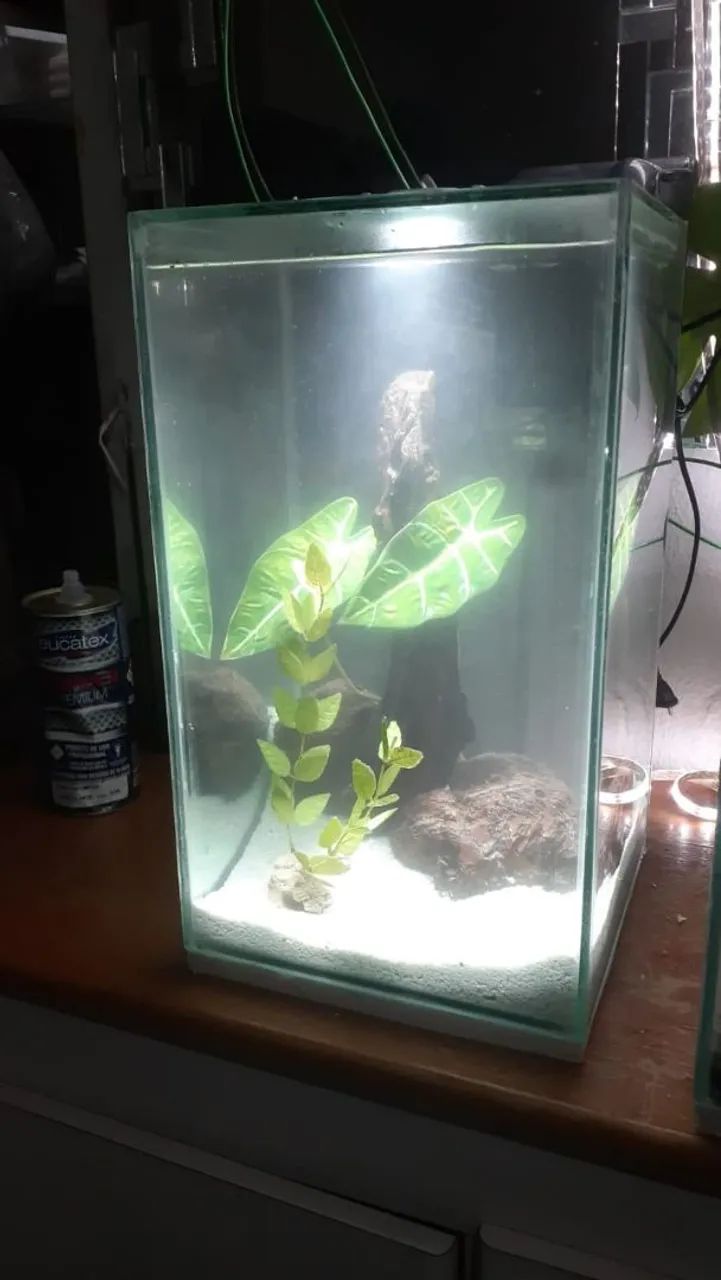 Aquario 30 litros 26x26x45 - Foto 2