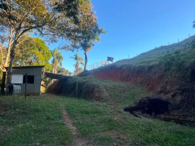 TERRENO EM PAULO LOPES - Foto 5