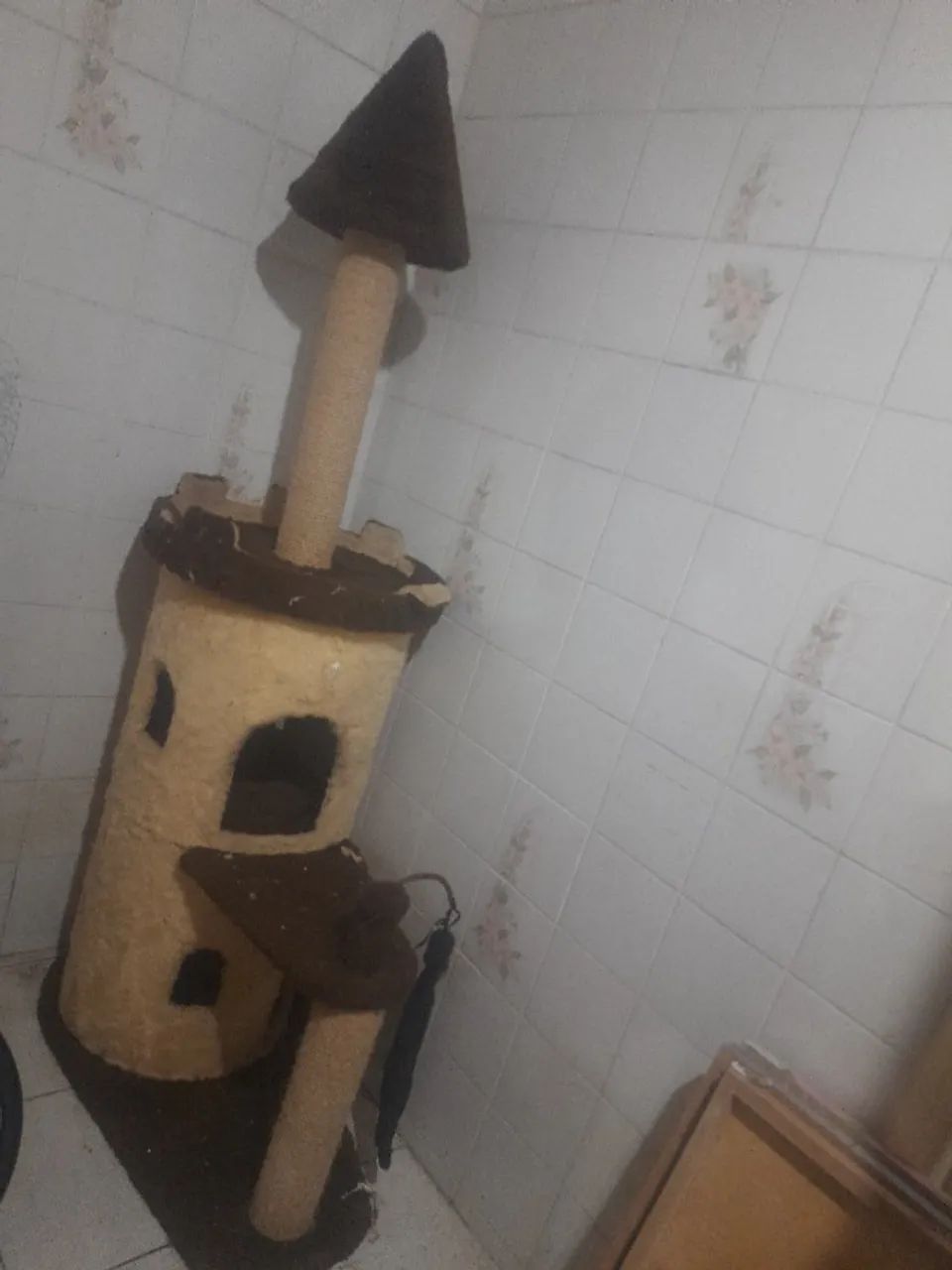 Aranhador  - Foto 2