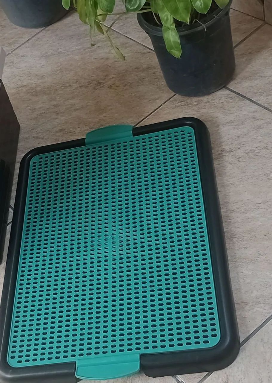 Kit Pet  - Foto 3