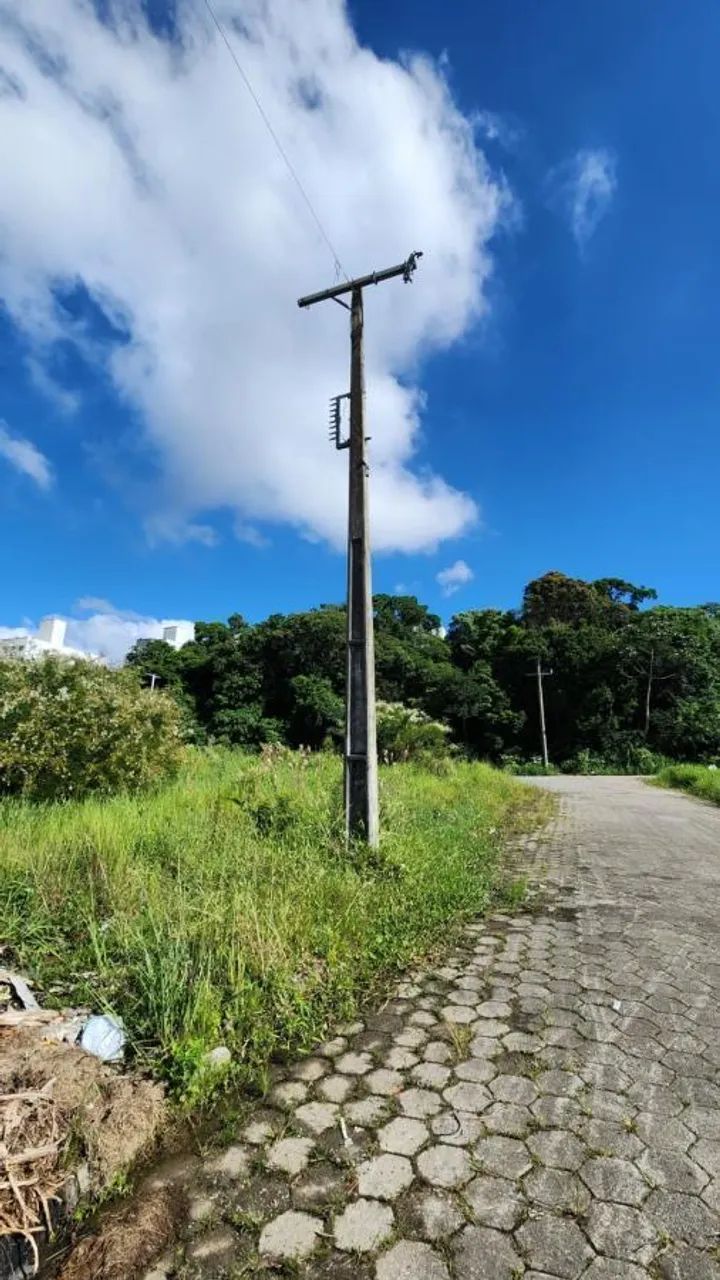 Terreno para Venda em São José, Areias - Foto 14