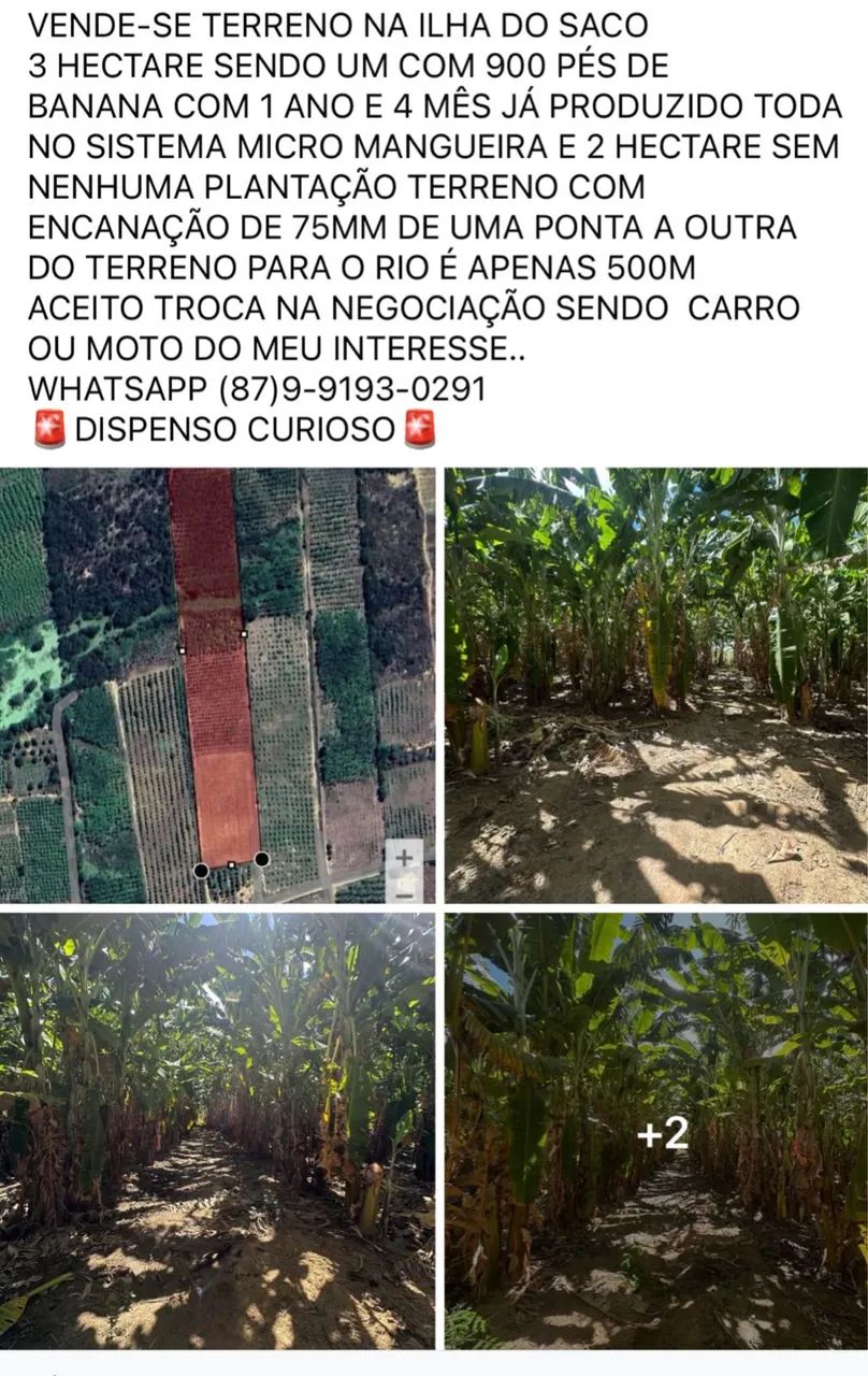 Vende-tereno