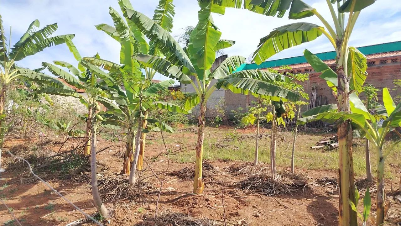 Lote em Aparecida de Goiânia  - Foto 3