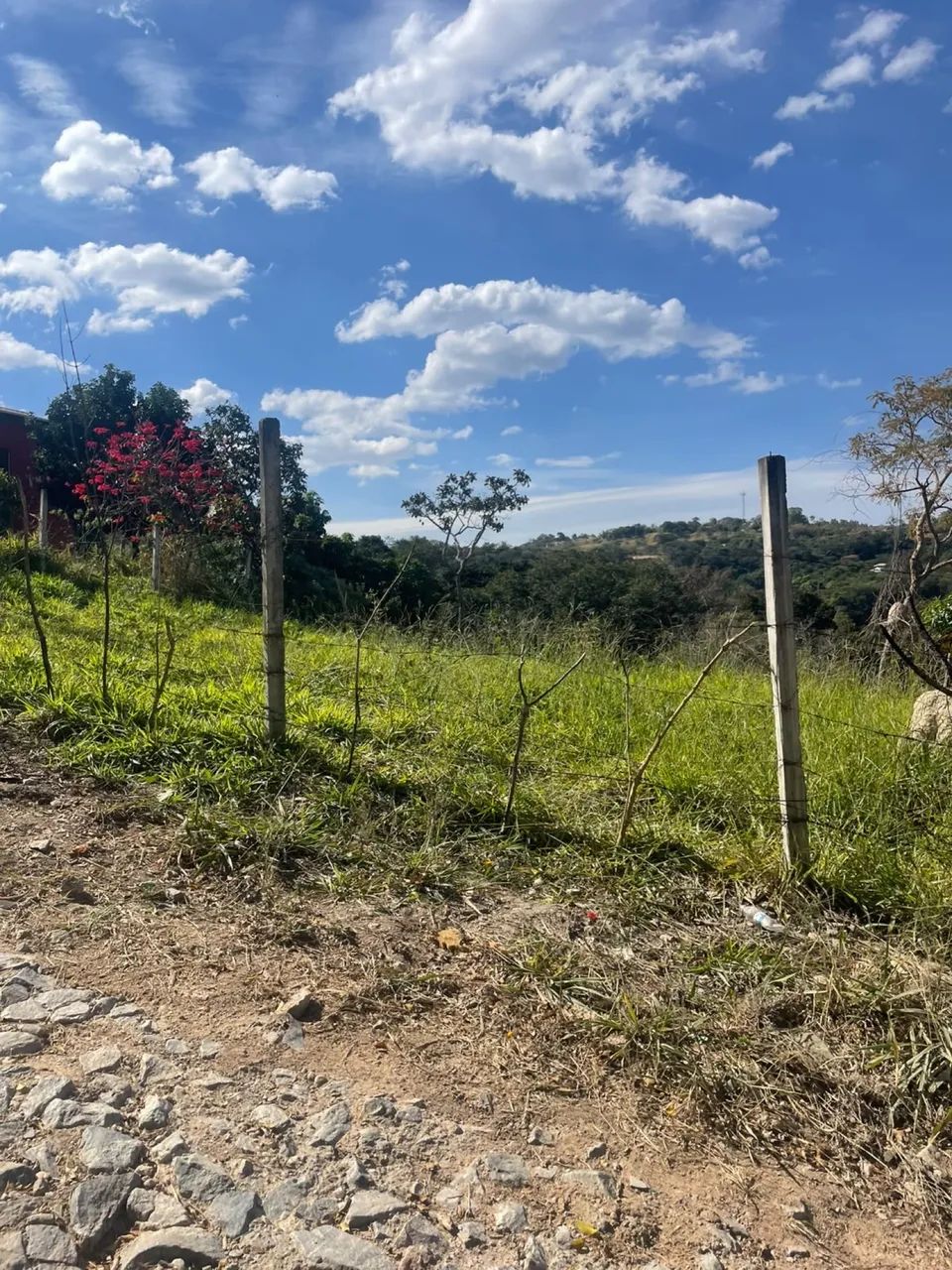 Chácara plana ótima localização  - Foto 5