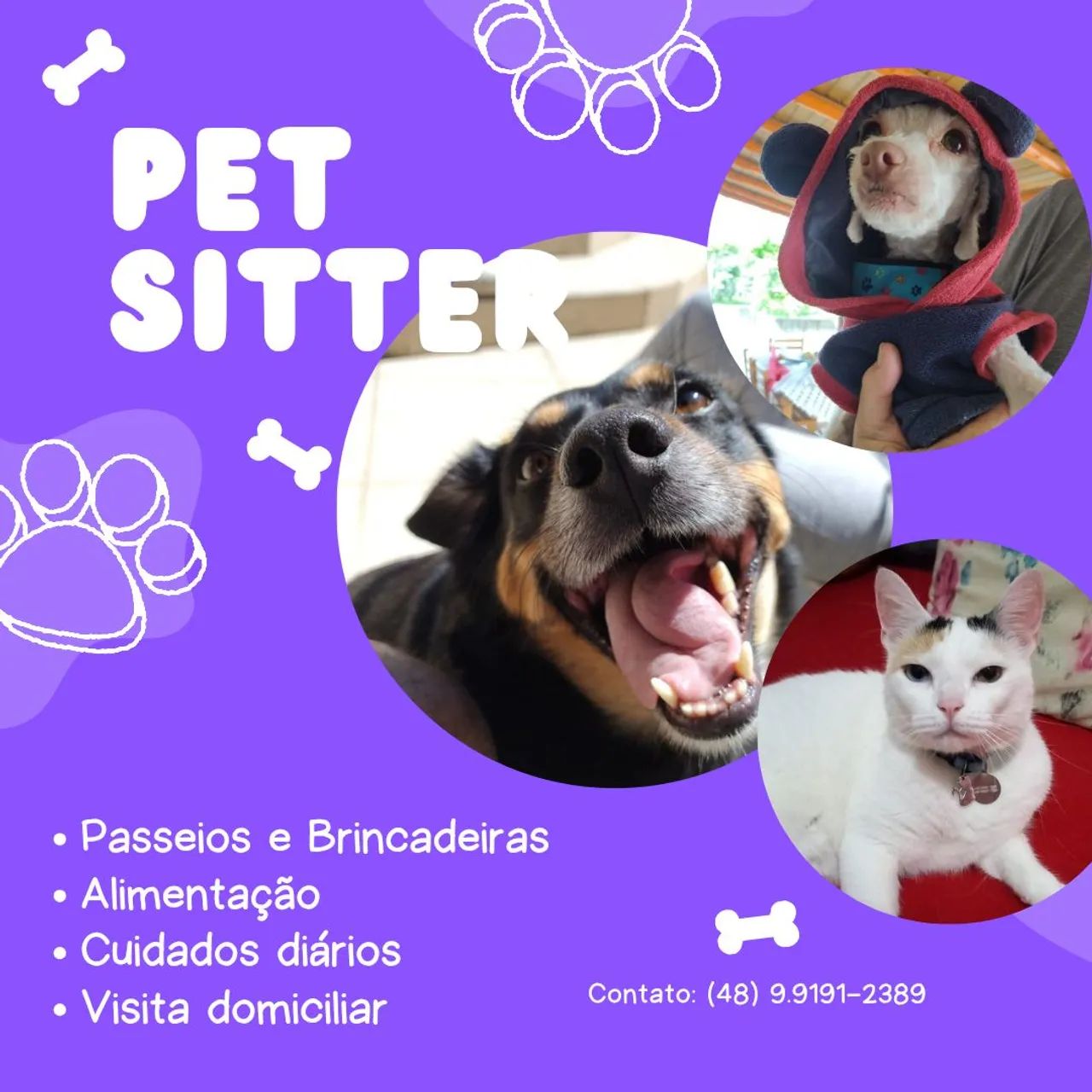 Pet Sitter