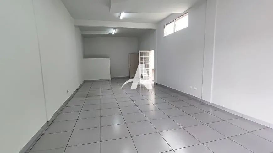 Aluguel Comodo SANTA MÔNICA