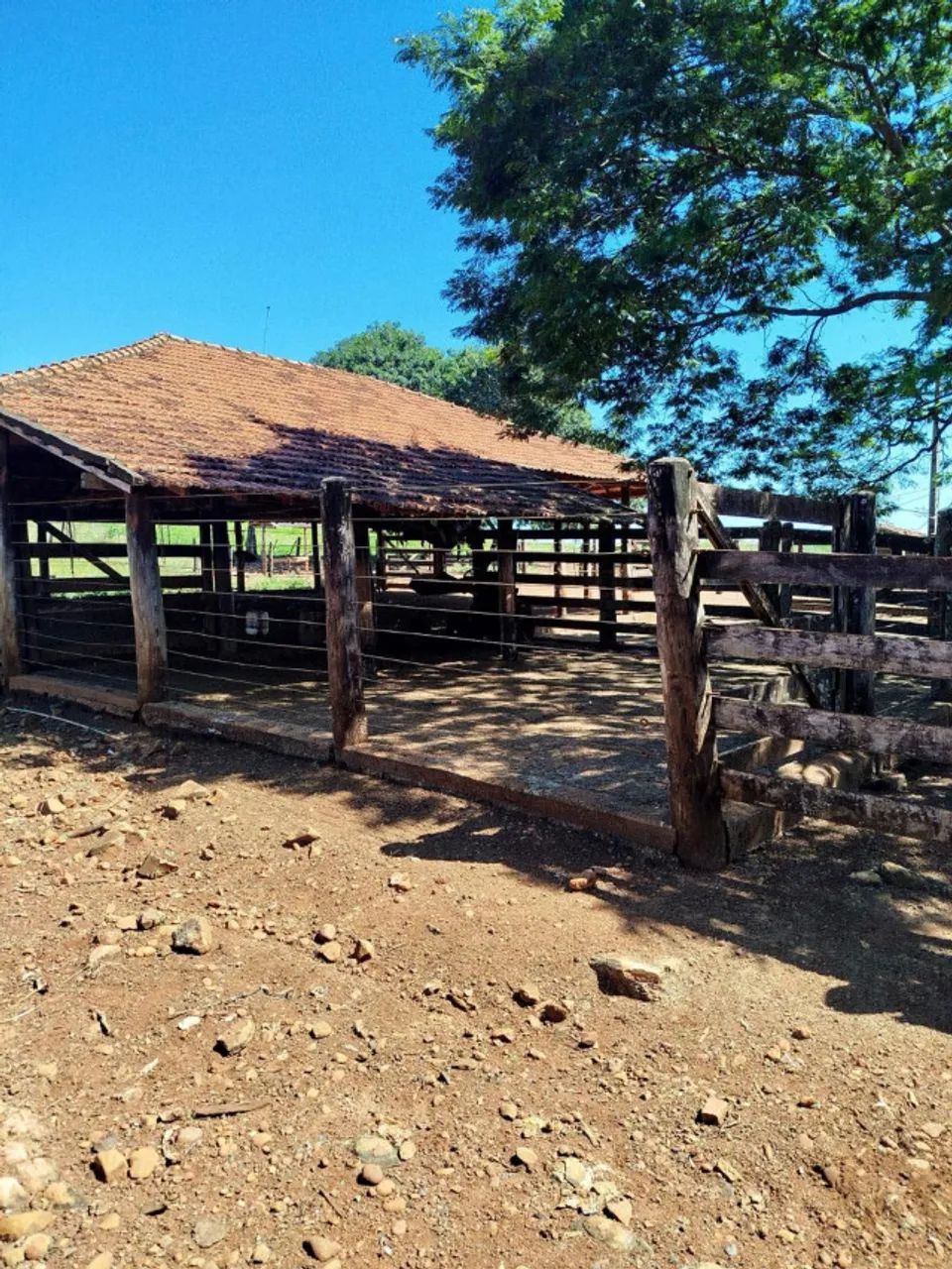 FAZENDA À VENDA - ITUMBIARA/GO - Foto 3