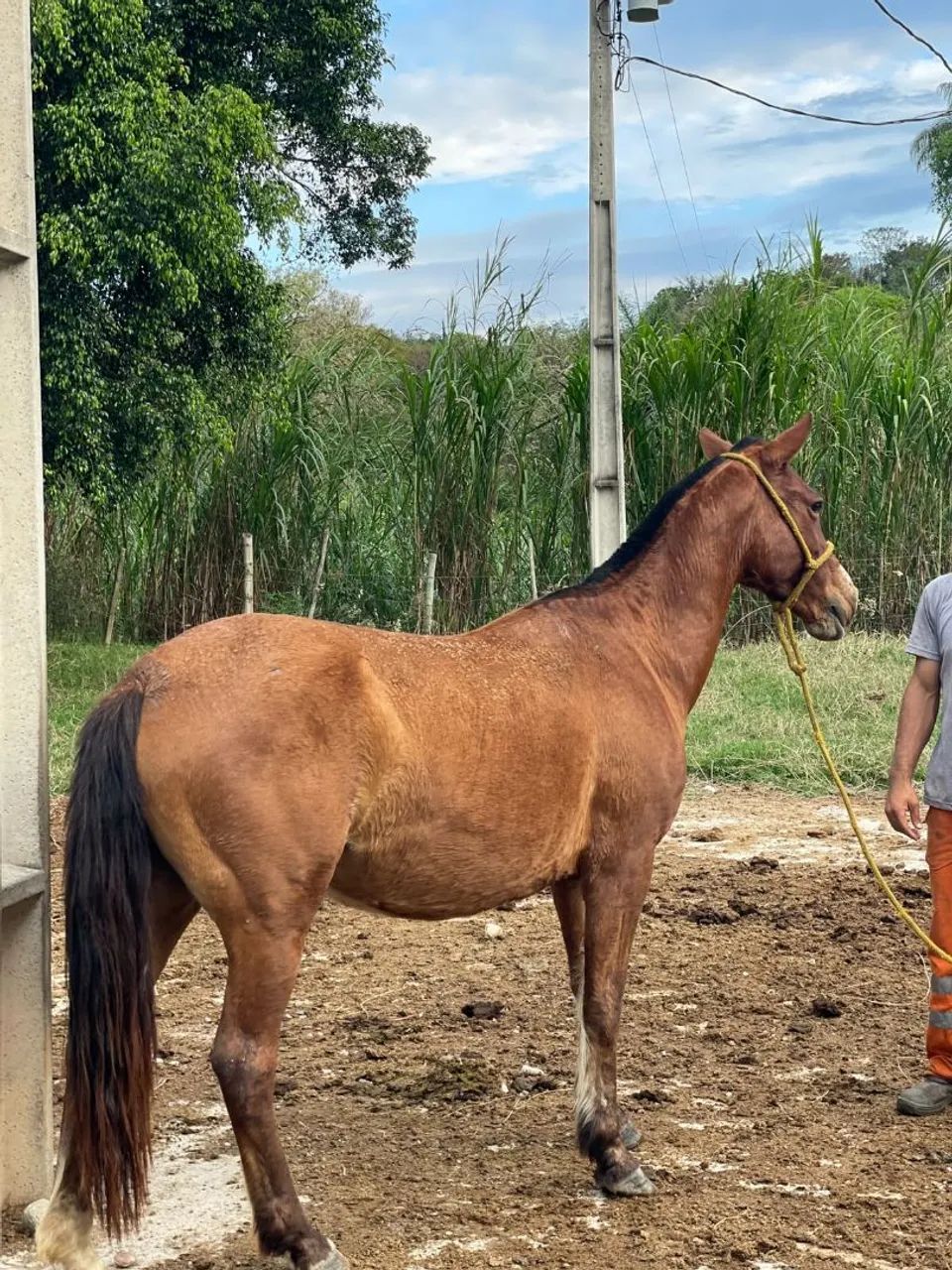 Vendo ou troco  - Foto 4