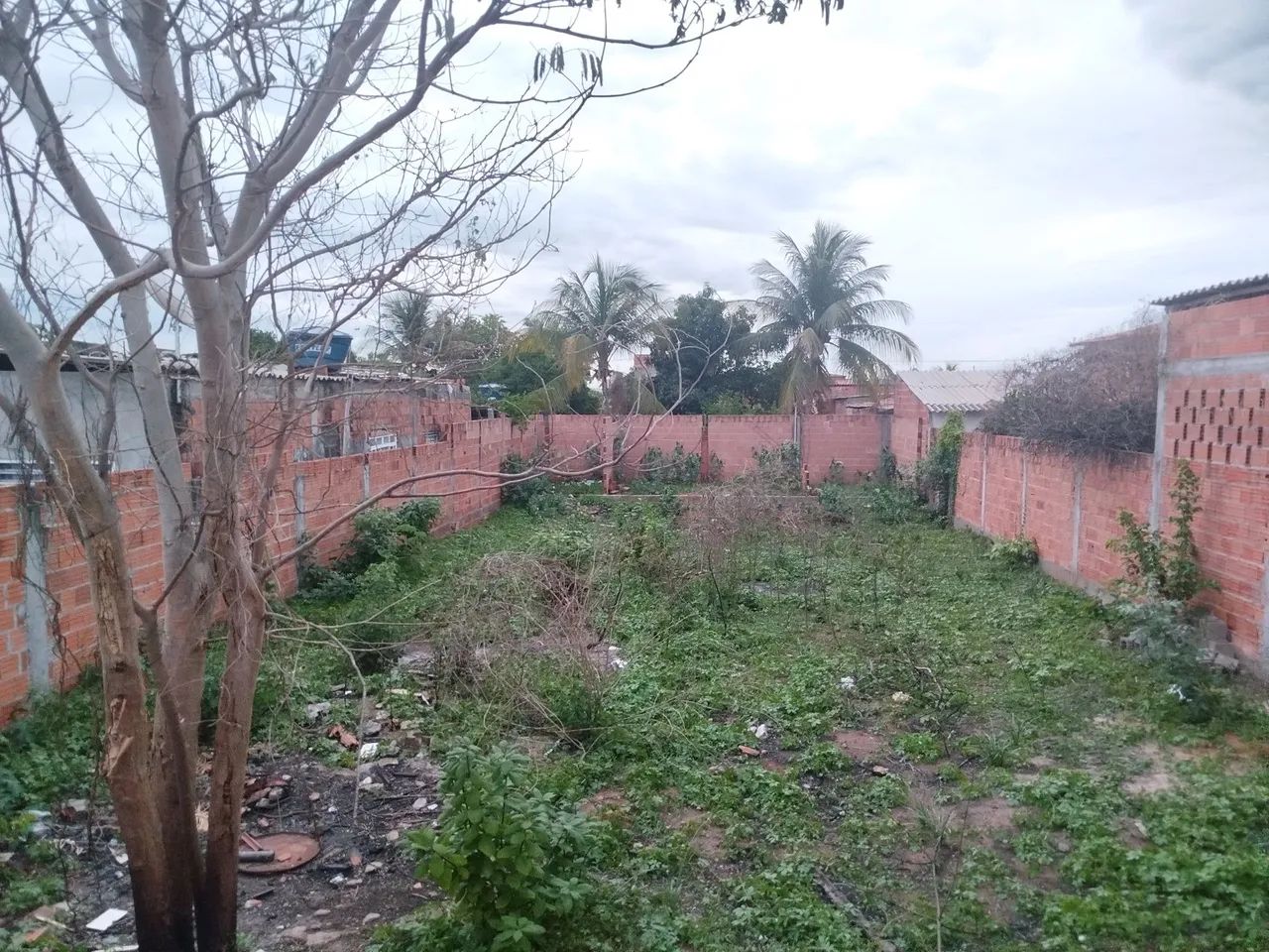 Foto - Januária - 