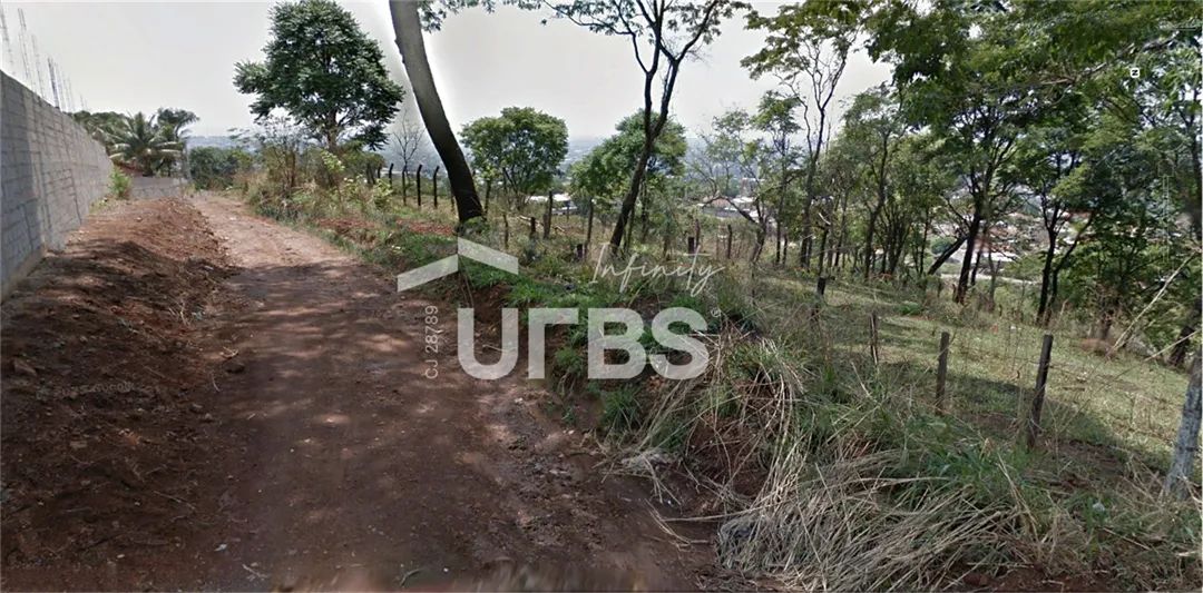 Terreno com 1000m2 proximo a GO-060 - Foto 4