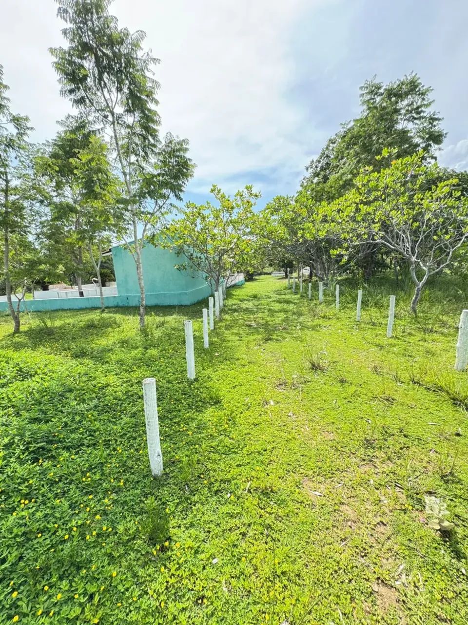 Vendo Chácara Beatriz Área: 23.796m2 - Foto 3