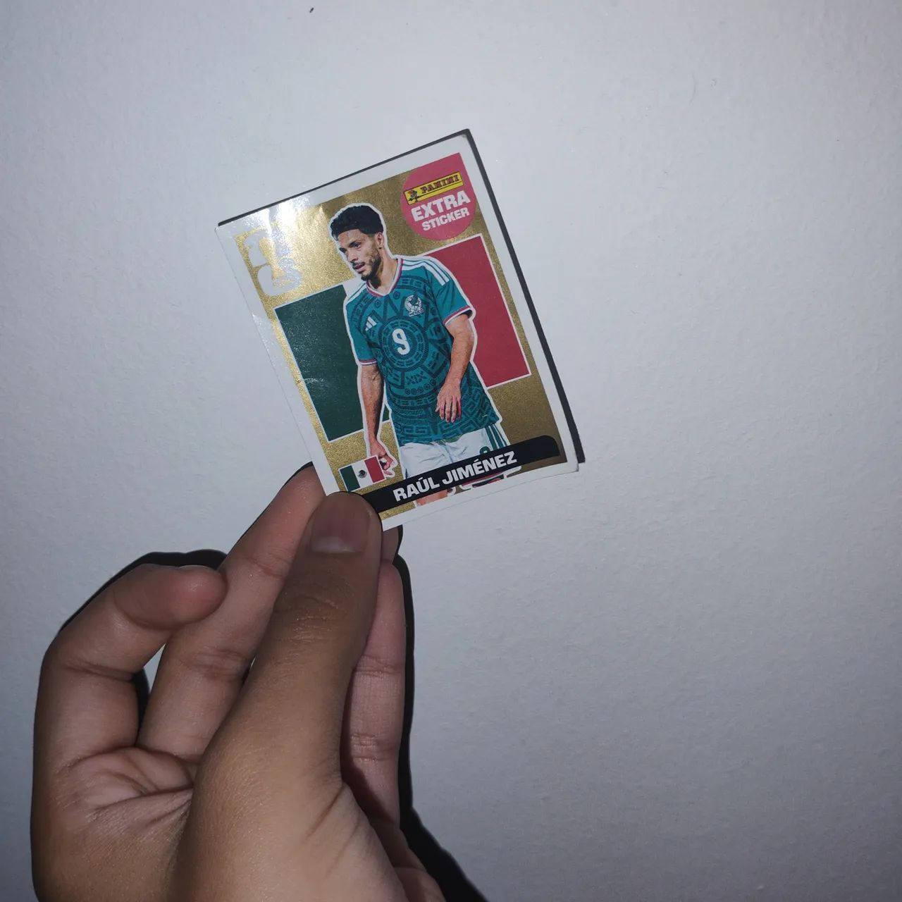 figurinha do Raul jimenez extra sticker 