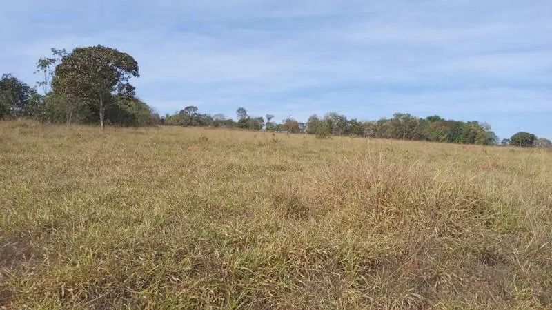 VENDE - SE, CHÁCARA DE 2 ALQUEIRES E 29 LITROS, EM VARJÃO. - Foto 3