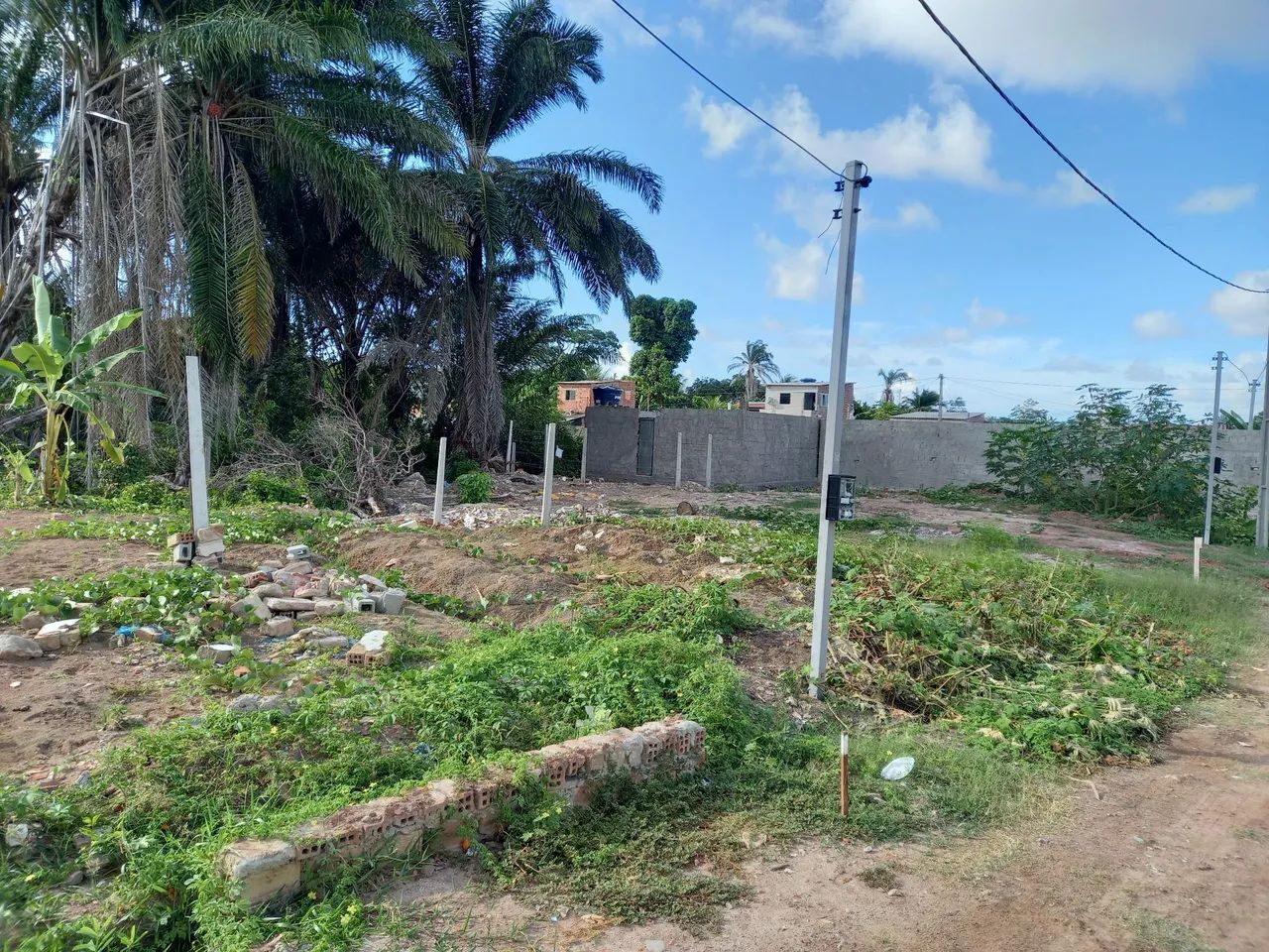 Terreno no janga - Foto 4