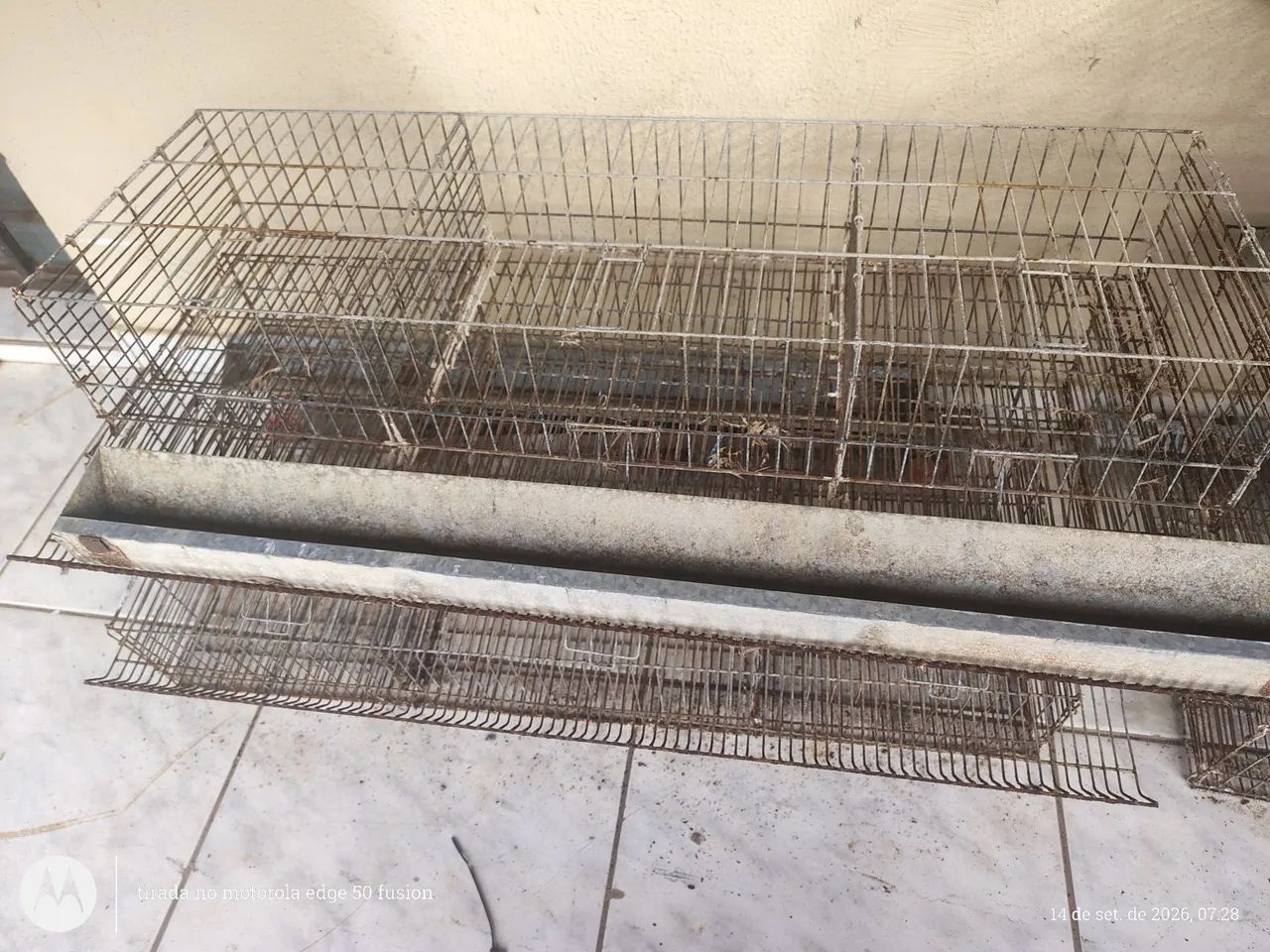 Gaiolas pra codornas  - Foto 2