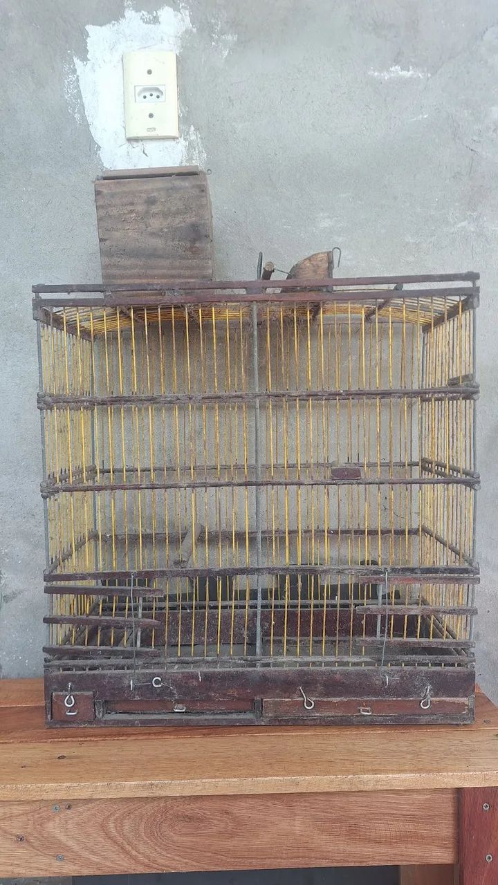 GAIOLAS