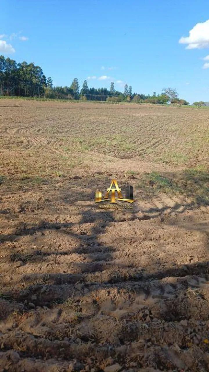 Fazenda à Venda - Zona Rural - Mococa/SP - Foto 2