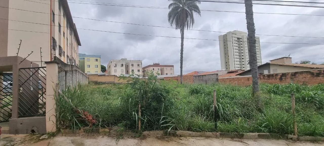 Lote semi plano no Bairro Serrano 1.084 m². - Foto 5