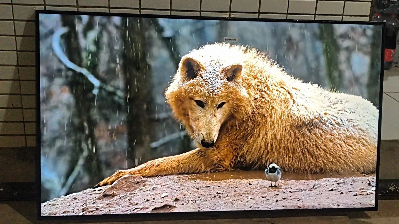 Tv Smart LG 55 Polegadas 4k Ultra HD Completa Nova no Plástico  - Foto 5