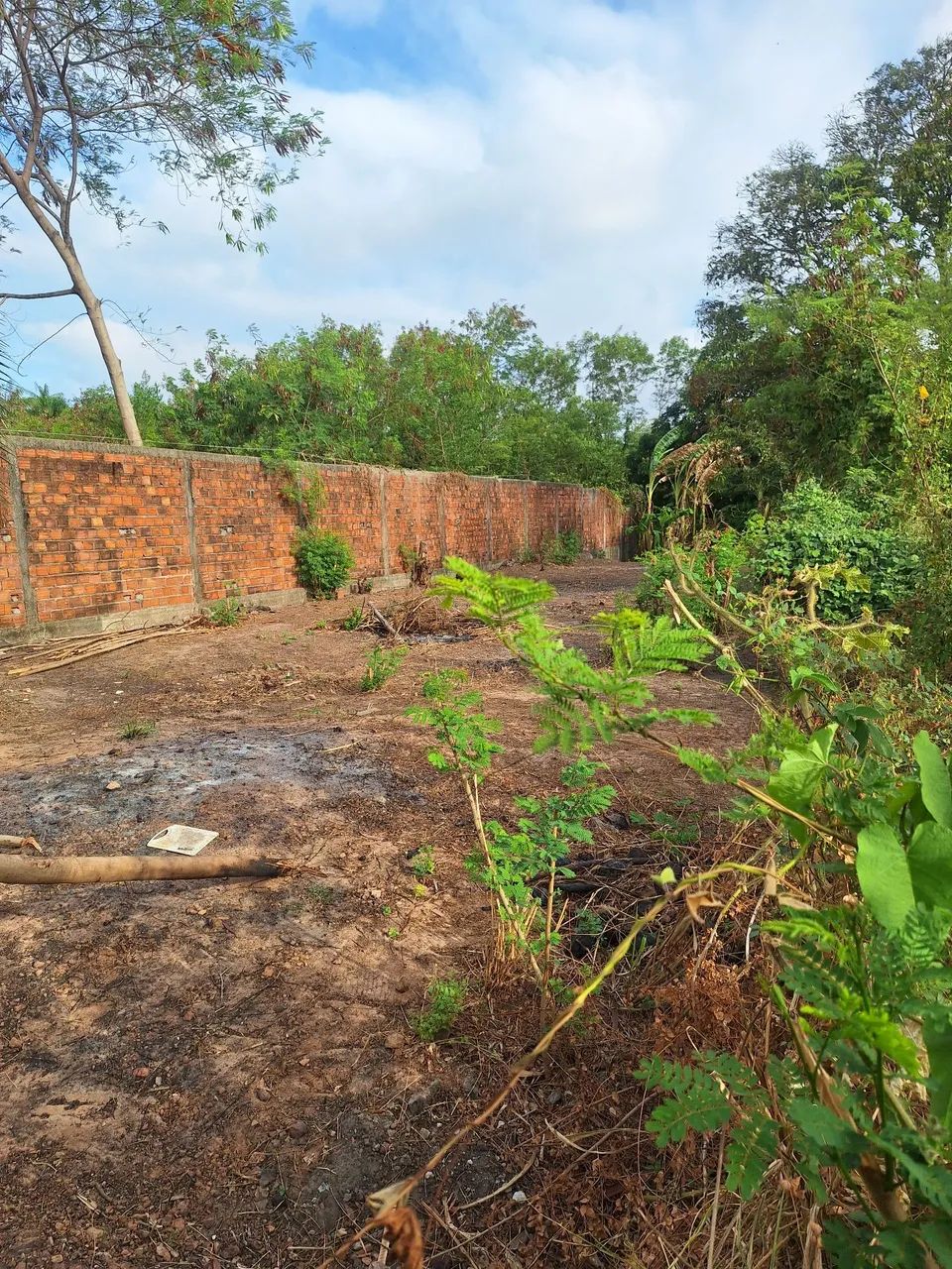 Terreno  - Foto 3
